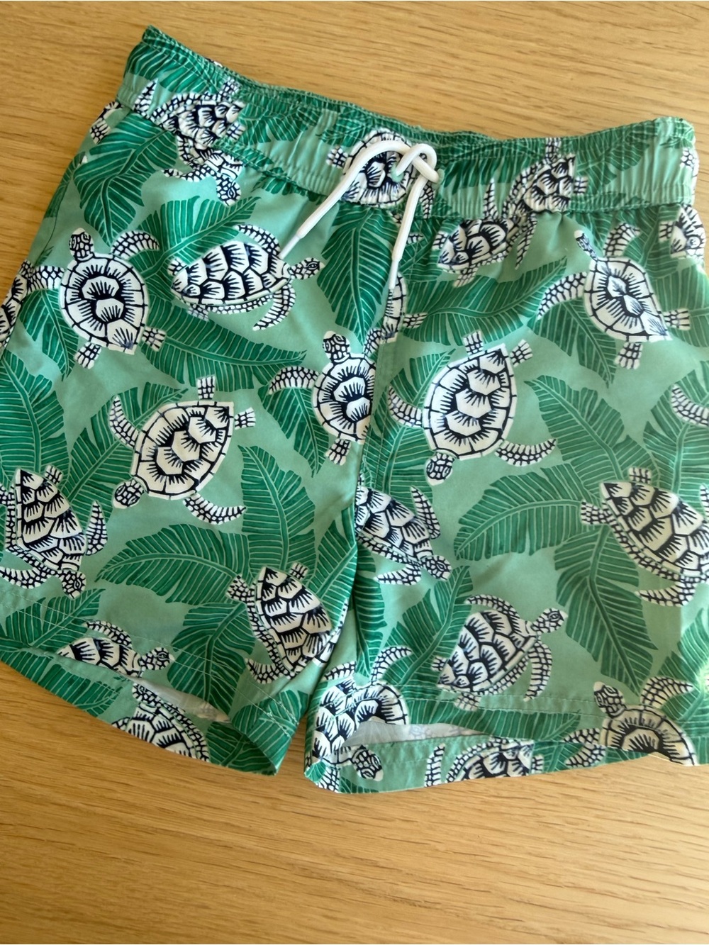 Janie and Jack Boys Green Turtle Swim Trunks - Size 6